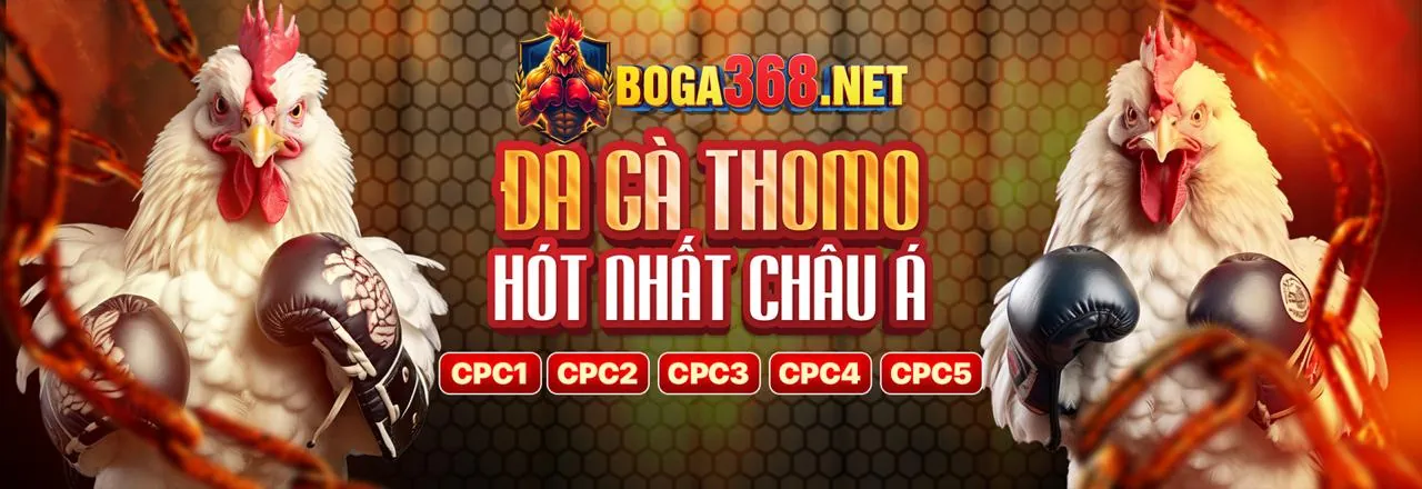 Giao diện hướng dẫn từng bước cá cược cho người mới tại 6ffvip nhà cái