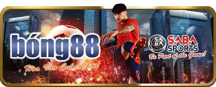 Bàn Baccarat với người chia bài